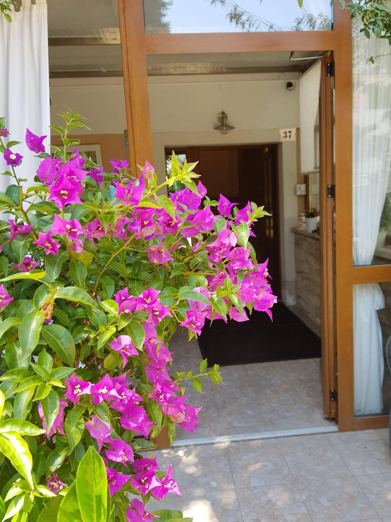Boutique Hotel Santa Maria Novigrad  Ngoại thất bức ảnh